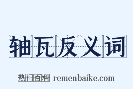 轴瓦反义词是什么意思的图片